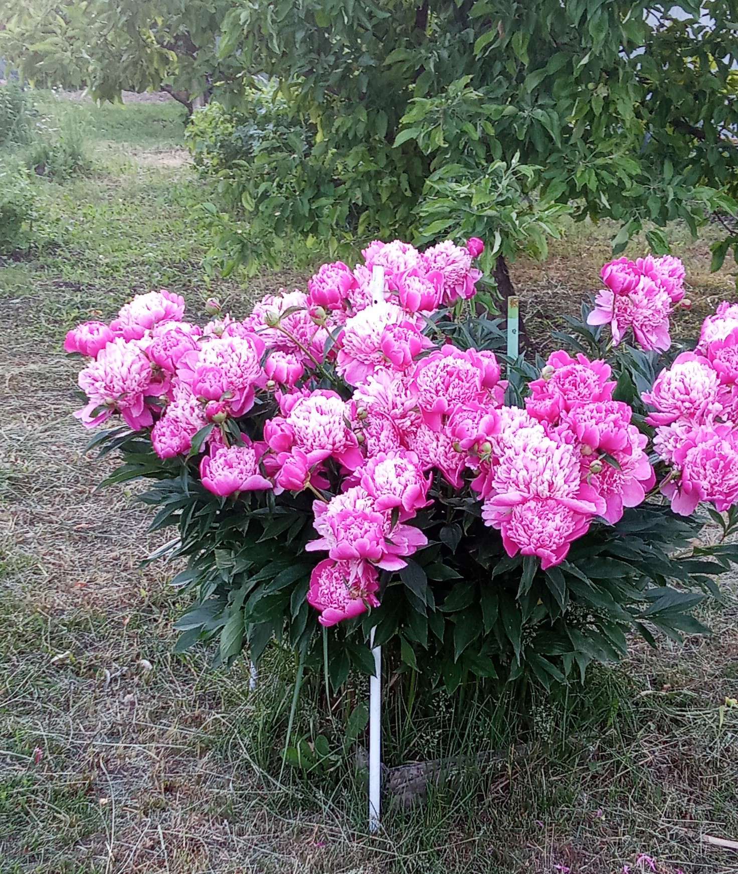 Нажмите, чтобы увеличить